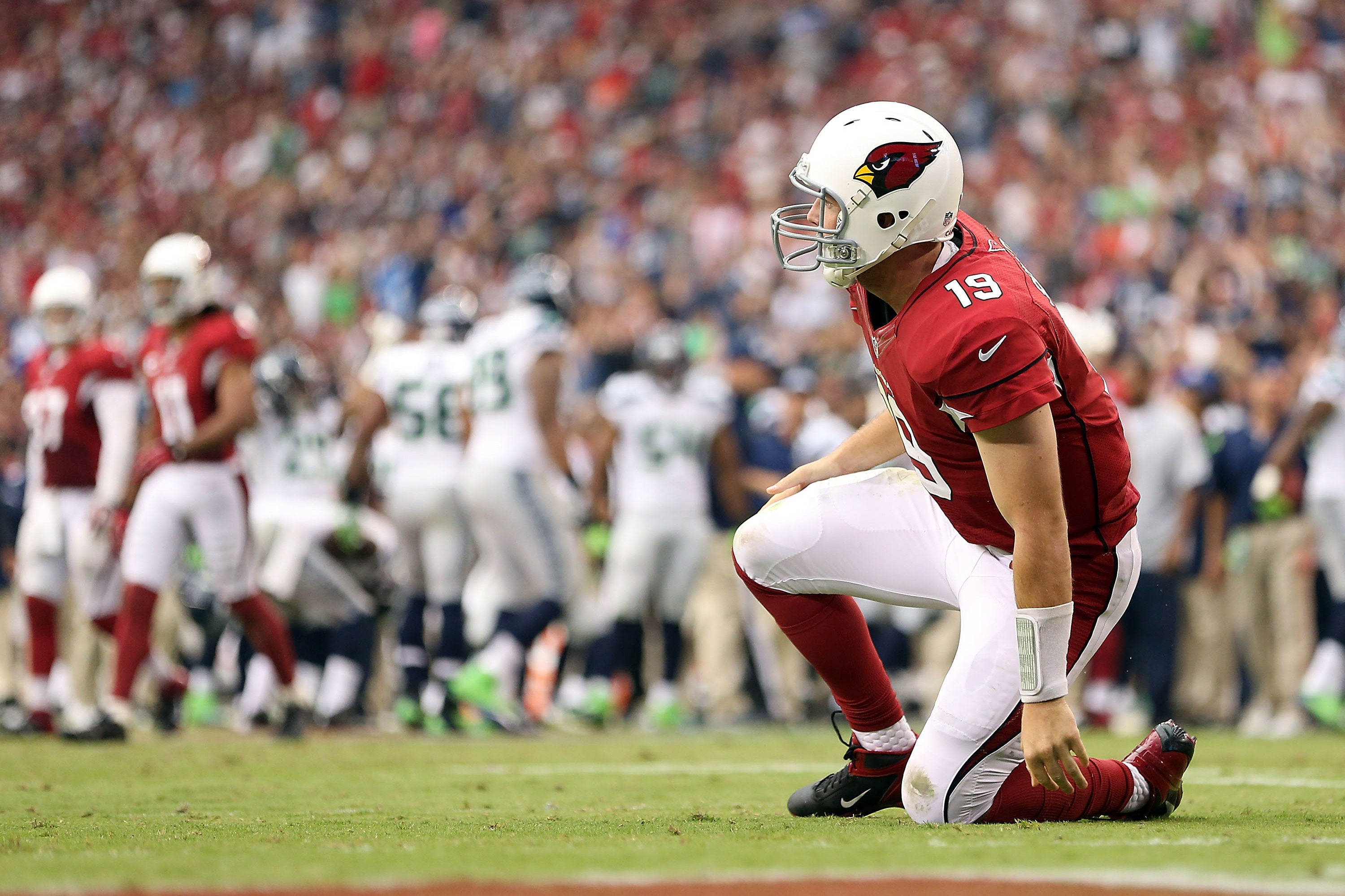 Arizona Cardinals quarterback John Skelton is pushed out of bounds