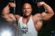 MELBOURNE, AUSTRALIA - MARCH 16: Mr Olympia Phil Heath poses during a media call ahead of the 2012 IFBB Australian Pro Grand Prix XIII on March 16, 2012 in Melbourne, Australia. (Photo by Robert Cianflone/Getty Images)