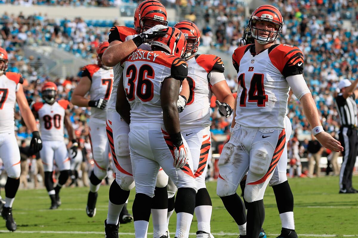 Cincinnati Bengals 1stQuarter Grades for the 2012 Season