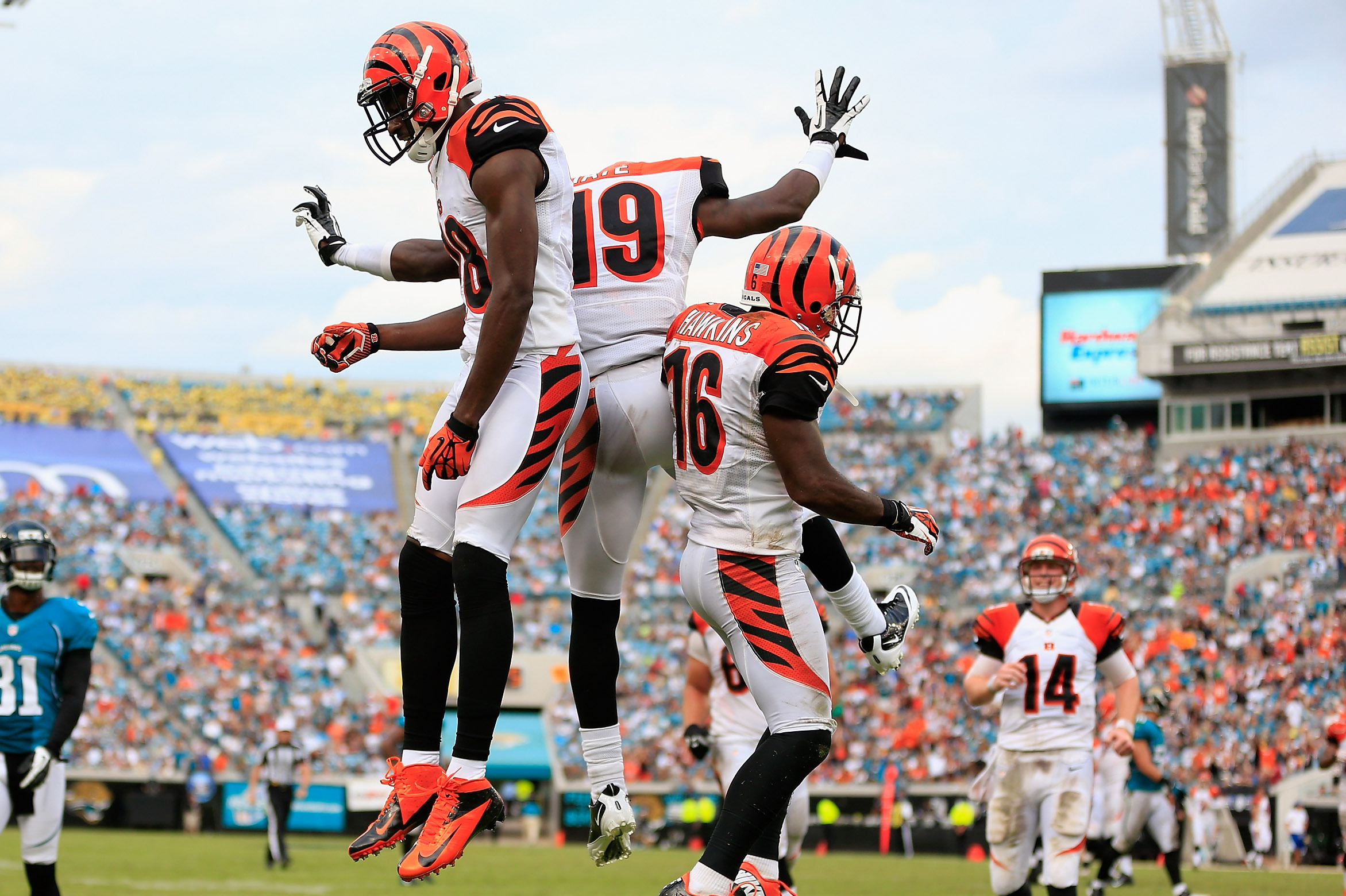 Bengals vs. Dolphins: Live Grades and Analysis for Cincinnati, News,  Scores, Highlights, Stats, and Rumors