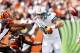CINCINNATI, OH - OCTOBER 07: Tight end Anthony Fasano #80 of the Miami Dolphins fumbles the ball as he is hit by cornerbacks Leon Hall #29 and Adam Jones #24 of the Cincinnati Bengals at Paul Brown Stadium on October 7, 2012 in Cincinnati, Ohio. (Photo by Matt Sullivan/Getty Images)