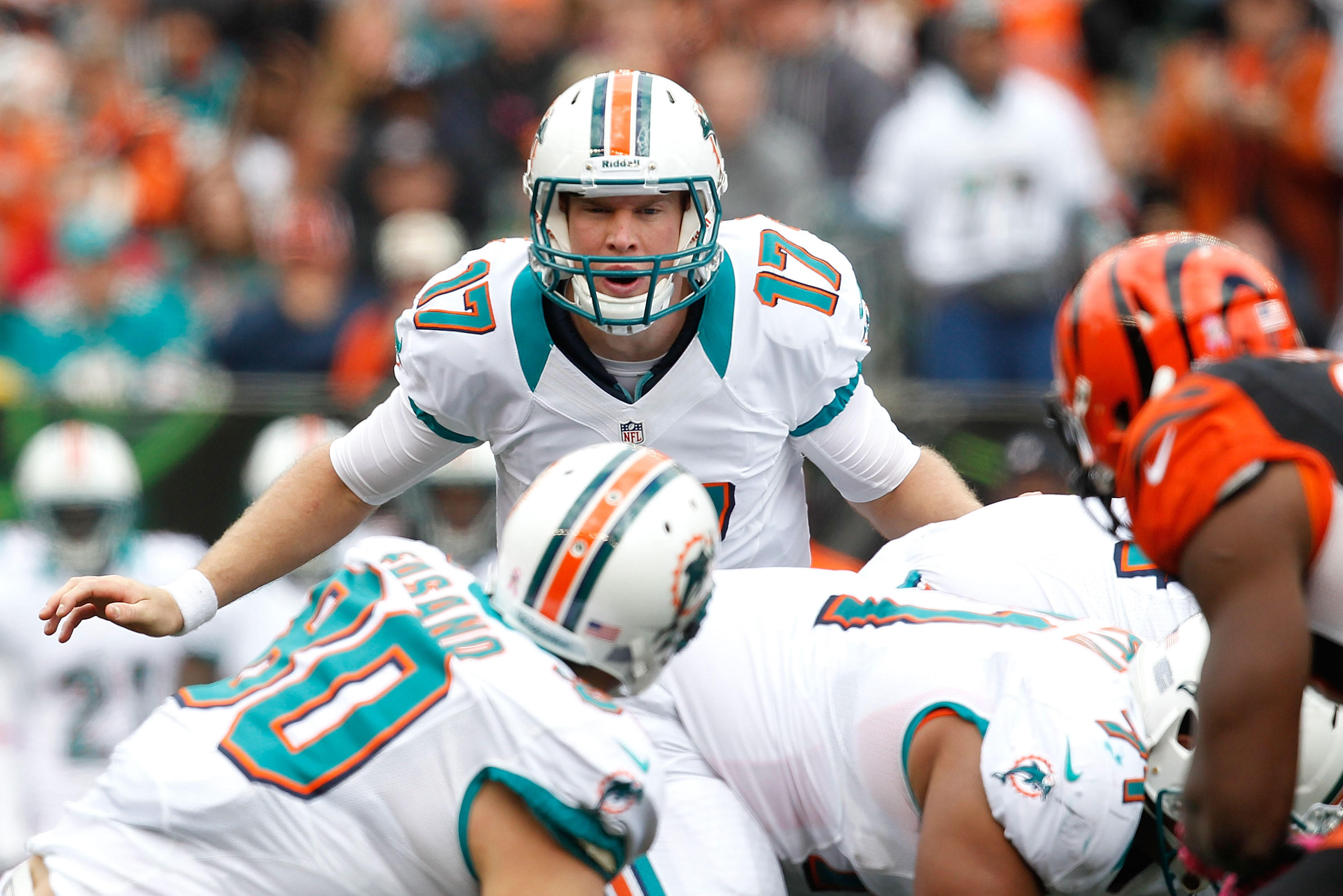 Miami Dolphins 2012 Preview - ESPN