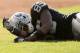 OAKLAND, CA - SEPTEMBER 23: Darrius Heyward-Bey #85 of the Oakland Raiders lays on the field after getting hit hard in their game against the Pittsburgh Steelers at Oakland-Alameda County Coliseum on September 23, 2012 in Oakland, California. (Photo by Ezra Shaw/Getty Images)