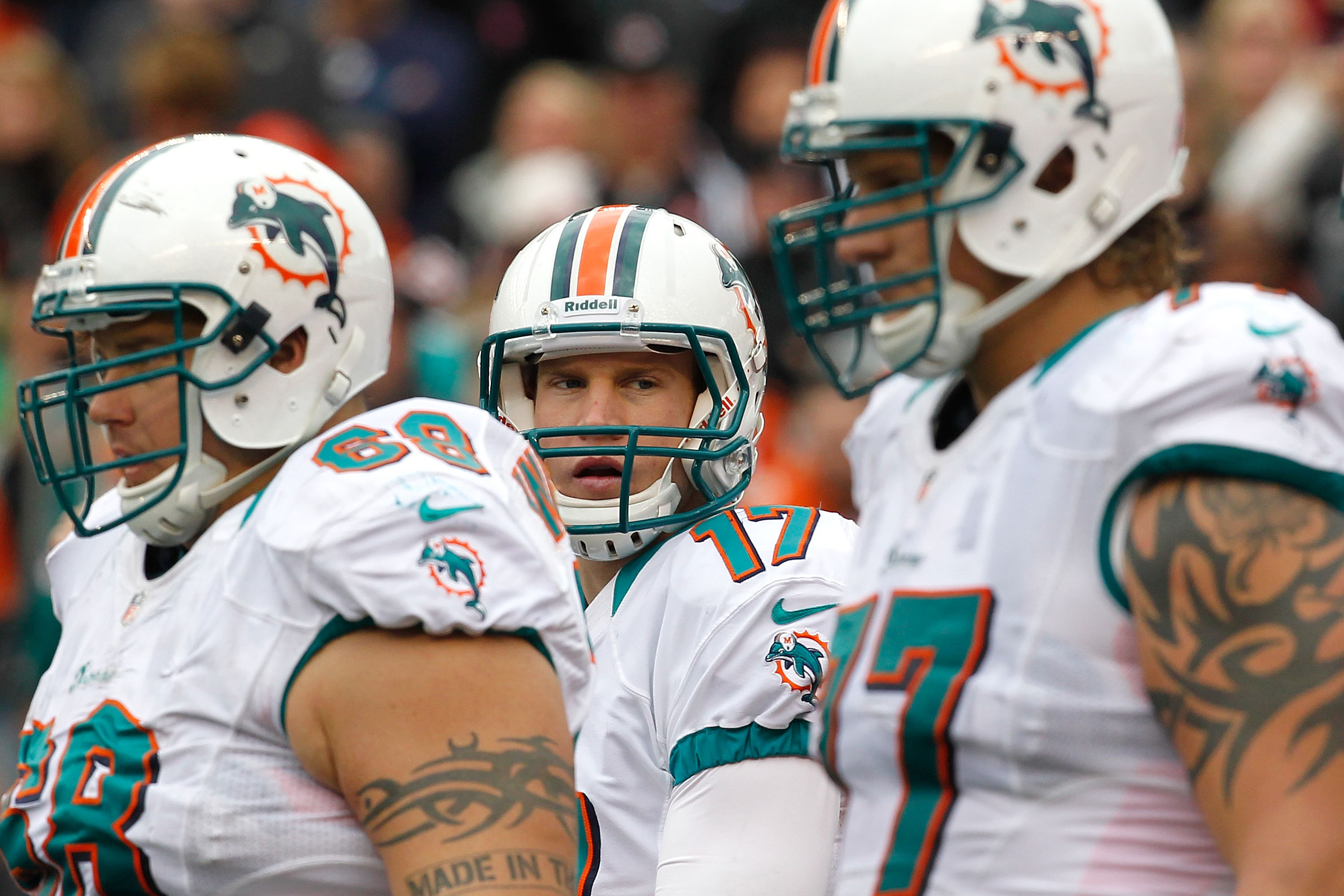 Miami Dolphins finish season above .500 with win over Patriots