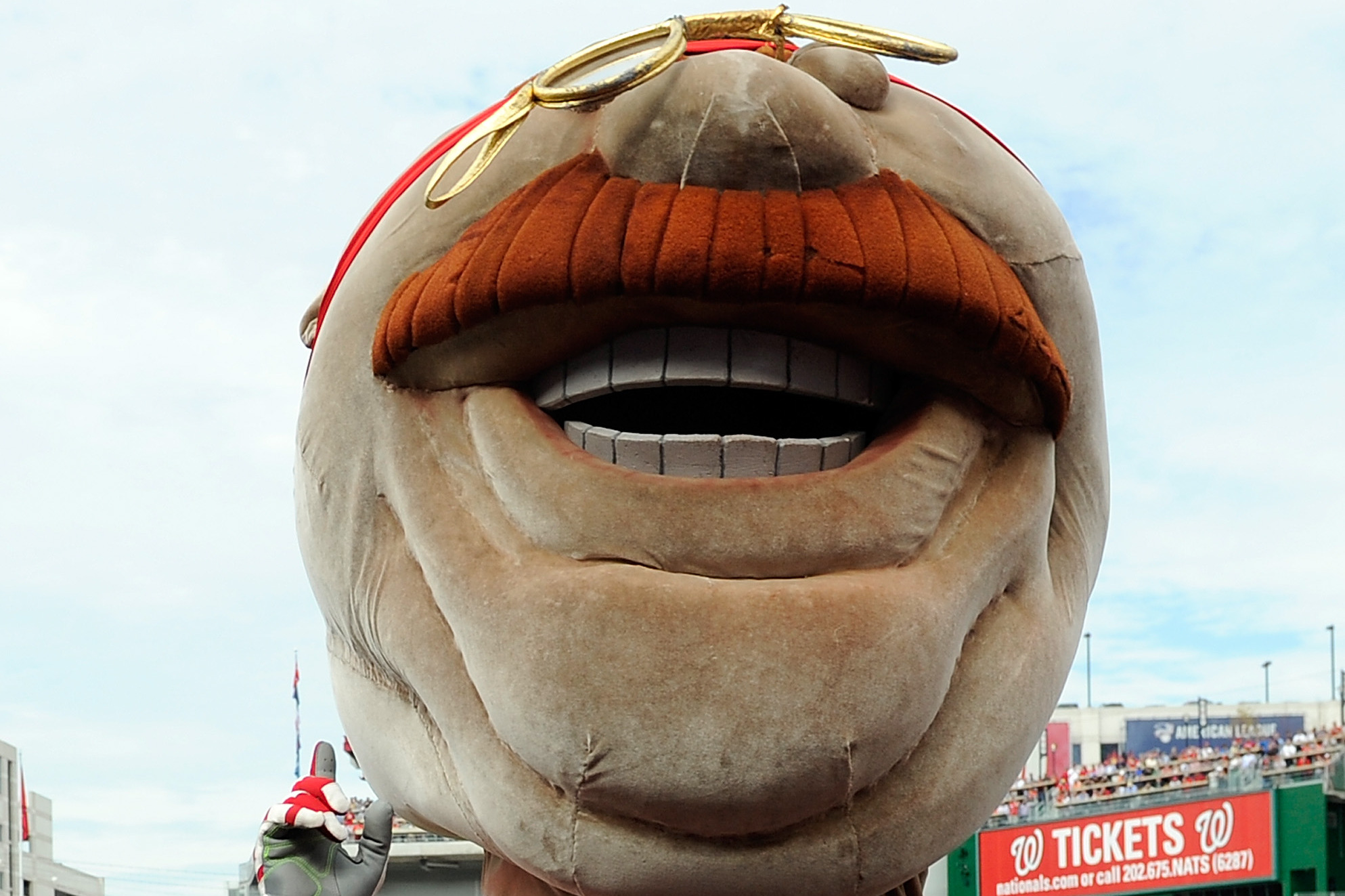 Teddy Roosevelt mascot finally gets a victory