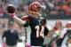 CLEVELAND, OH - OCTOBER 14: Starting quarterback Andy Dalton #14 of the Cincinnati Bengals passes during the first quarter against the Cleveland Browns at Cleveland Browns Stadium on October 14, 2012 in Cleveland, Ohio. (Photo by Jason Miller/Getty Images)