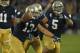 SOUTH BEND, IN - OCTOBER 20: Danny Spond #13 of the Notre Dame Fighting Irish celebrates with teammates including Manti T'eo #5 after intercepting a pass on the next to last play of the game against the BYU Cougars at Notre Dame Stadium on October 20, 2012 in South Bend, Indiana. Notre Dame defeated BYU 17-14. (Photo by Jonathan Daniel/Getty Images)