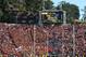 Cal's remodeled Memorial Stadium.