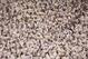 UNIVERSITY PARK, PA - OCTOBER 27: Penn State students cheer their Nittany Lions after staging a 'white out' during the game against the Ohio State Buckeyes at Beaver Stadium on October 27, 2007 in University Park, Pennsylvania. Ohio State won 37-17. (Photo by Hunter Martin/Getty Images)