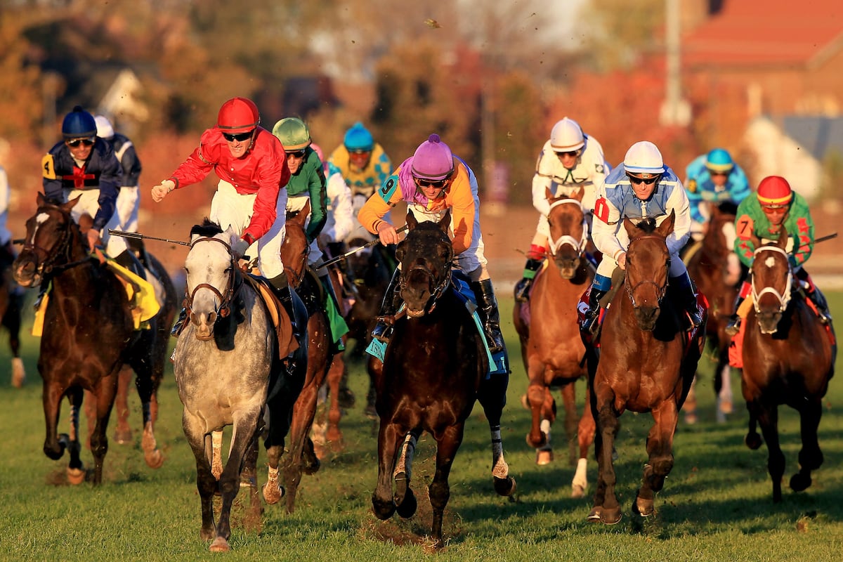 Breeders Cup 2024 Entries And Post Positions Almira Millicent Breeders Cup 2024 Entries And Post Positions Almira Millicent