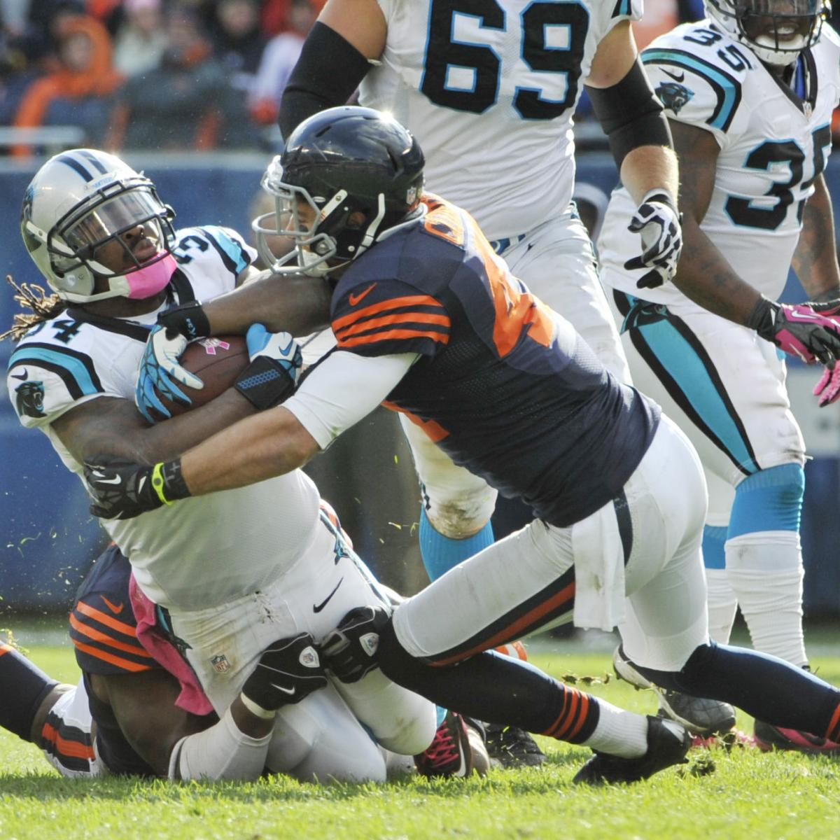 Panthers vs. Bears Full Highlights and Recap News, Scores