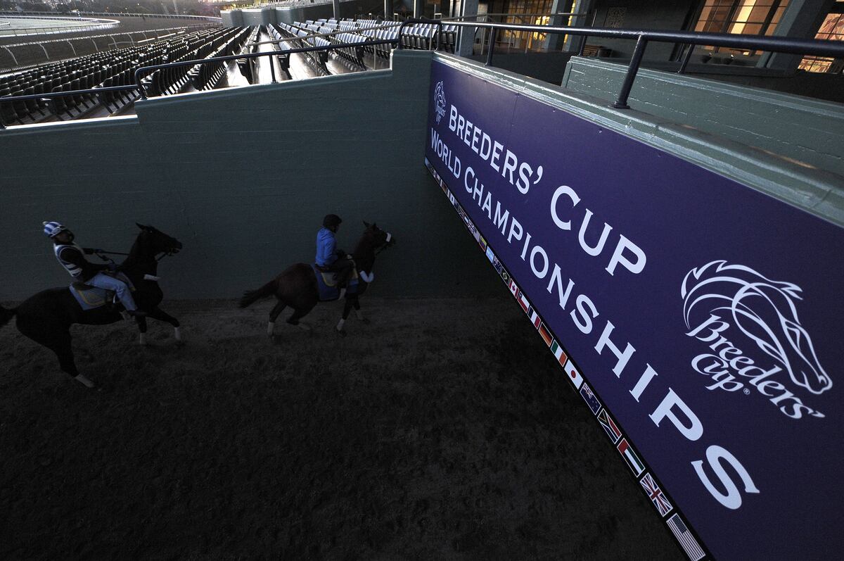 Breeders' Cup Predictions 2012 LastMinute Picks and Odds for Santa