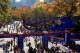 NEW YORK, NY - NOVEMBER 06: A generial view of the finish line of the 42nd ING New York City Marathon on November 6, 2011 in New York City (Photo by Patrick McDermott/Getty Images)