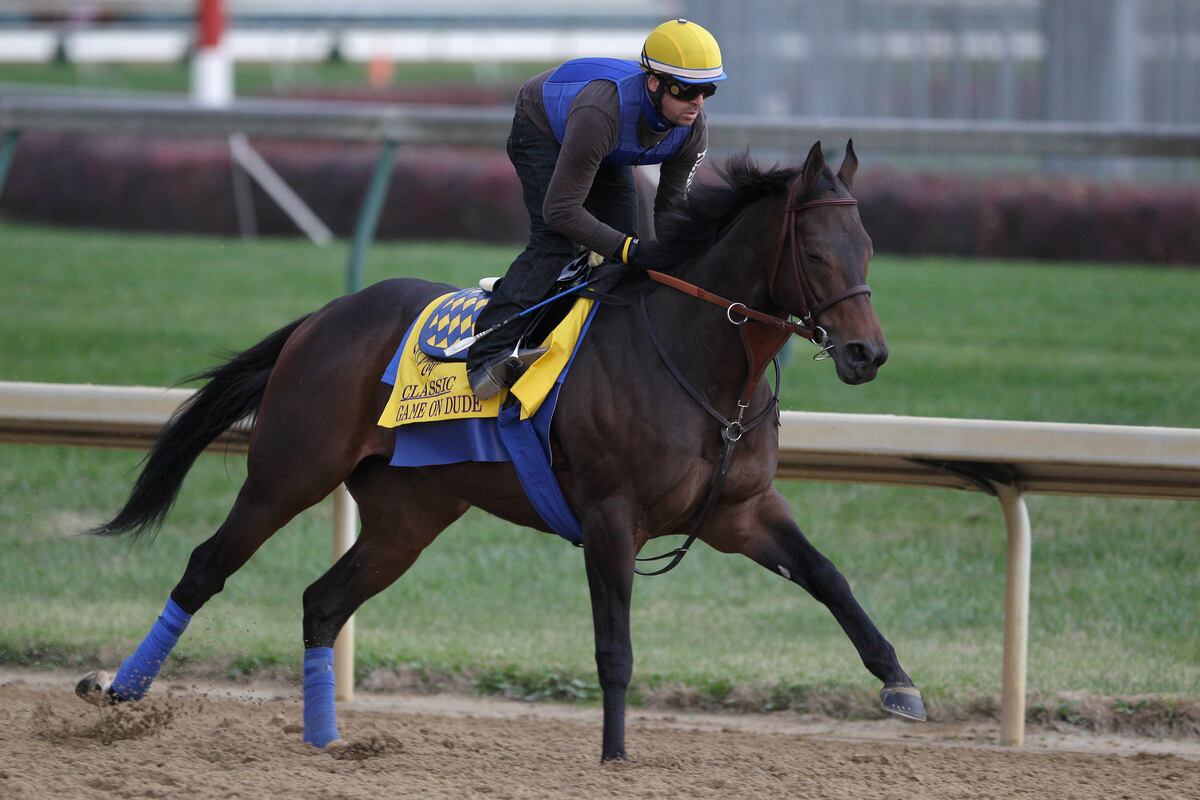 Breeders' Cup Post Position Horses in Prime Position to Win Classic