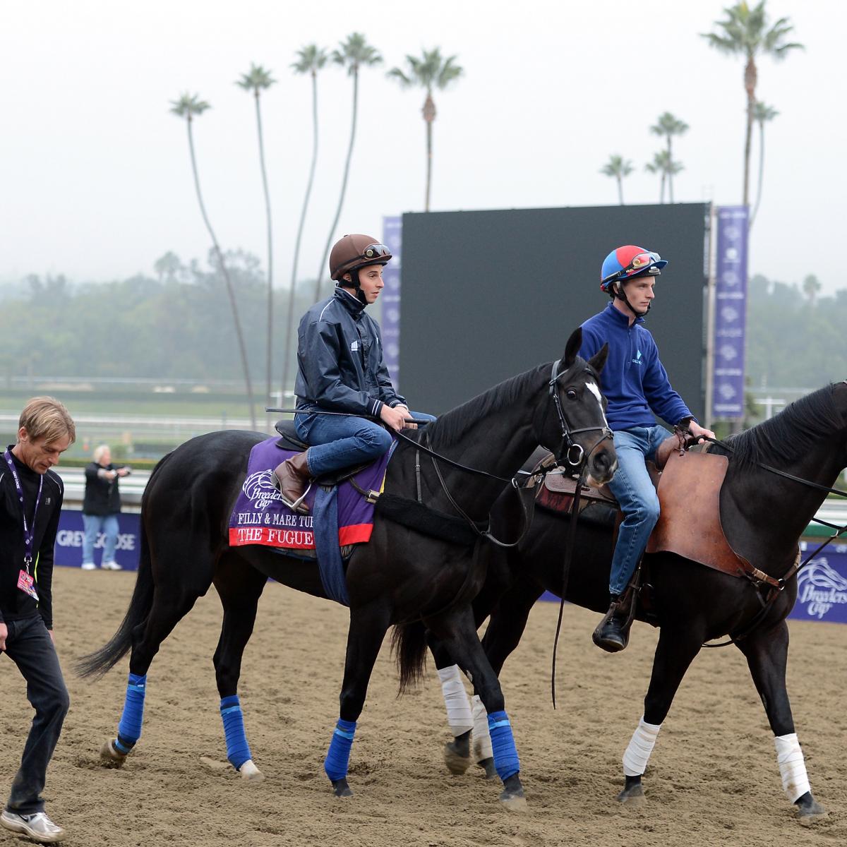 Breeders' Cup Entries BigName Horses You Need to Know About News