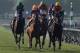 ARCADIA, CA - NOVEMBER 02: Jockey Javier Castellano (second from left) atop Zagora celebrates after winning the Filly and Mare Turf during the 2012 Breeders' Cup at Santa Anita Park on November 2, 2012 in Arcadia, California. (Photo by Jeff Gross/Getty Images)