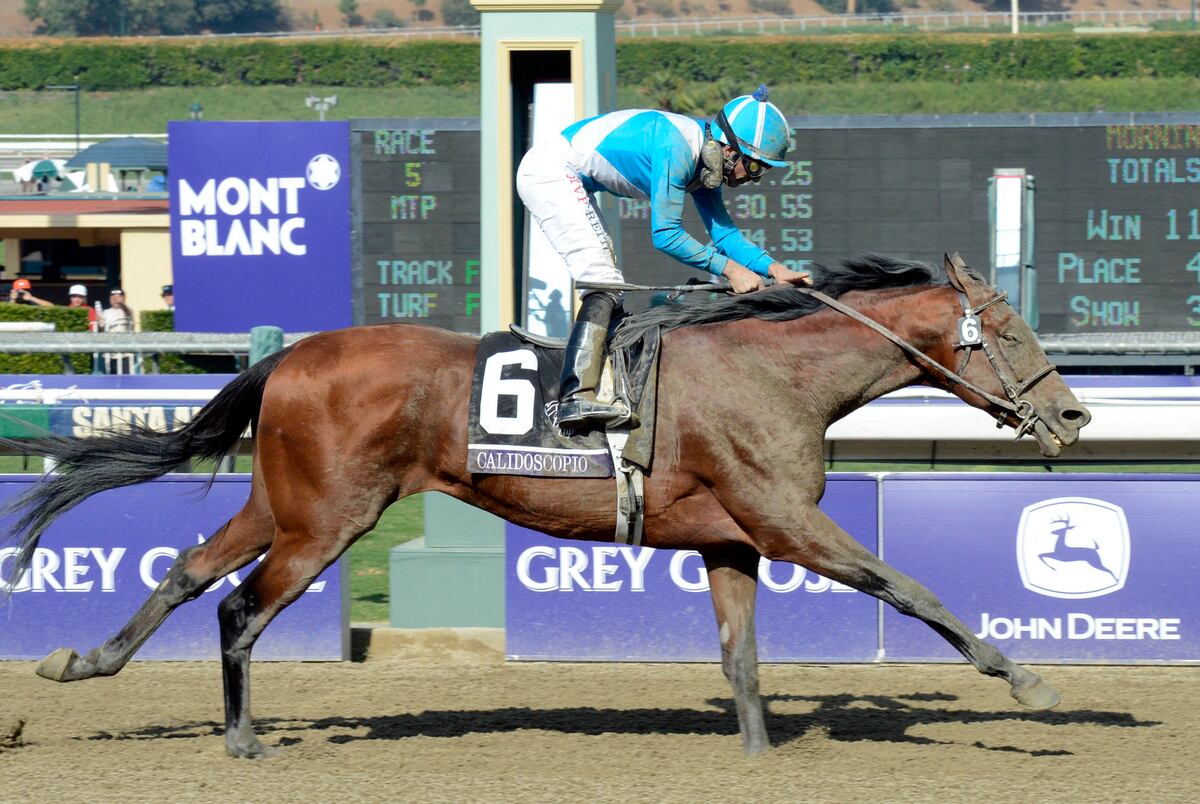 Breeders Cup 2012 Winners Most Impressive Showings from Day 1 News