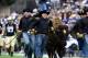 Colorado Buffalo mascot pre-game, when the score was still tied 0-0.