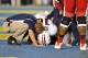 Arizona quarterback Matt Scott left Saturday's game at the Rose Bowl with an apparent head injury. The Wildcats wound up losing 66-10.