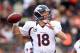 CINCINNATI, OH - NOVEMBER 04: Peyton Manning #18 of the Denver Broncos throws a pass during the NFL game against the Cincinnati Bengals at Paul Brown Stadium on November 4, 2012 in Cincinnati, Ohio. (Photo by Andy Lyons/Getty Images)