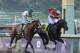 Fort Larned battles on the inside to hold of Mucho Macho Man in the Breeders' Cup Classic (G1).