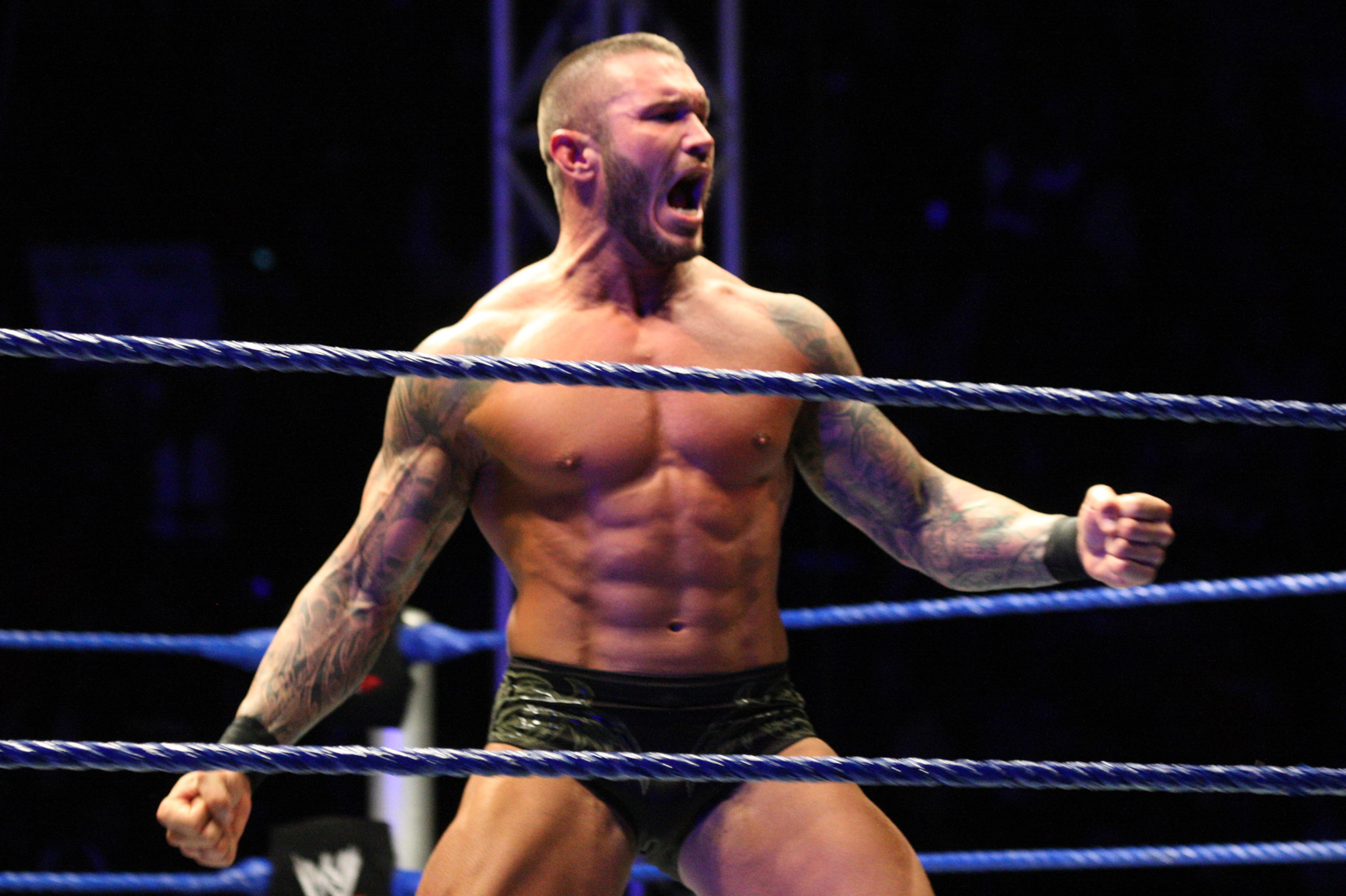 Randy Orton - Randy Orton, Sheamus & Big Show may well work as a