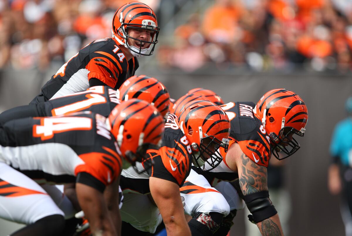 Bengals Bengals