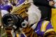 November 10, 2012; Baton Rouge, LA, USA; LSU Tigers mascot Mike the Tiger holds a camera on the sideline during the second half of a game against the Mississippi State Bulldogs at Tiger Stadium. LSU defeated Mississippi State 37-17. Mandatory Credit: Derick E. Hingle-US PRESSWIRE