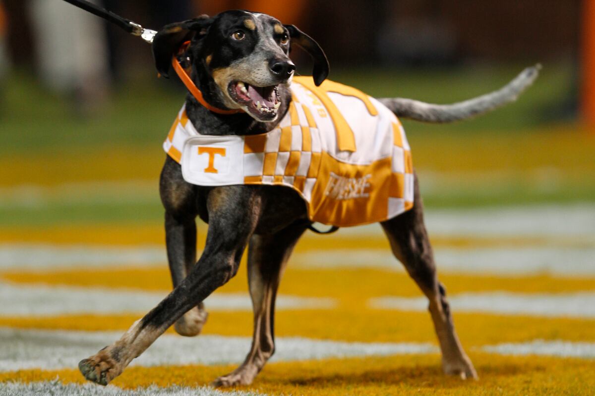 Tennessee Football: 9 Steps to Get the Volunteers Back to National