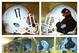 Credit: @VTFBEquipment