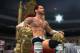 Illustration courtesy of WWE 13 Video Game
