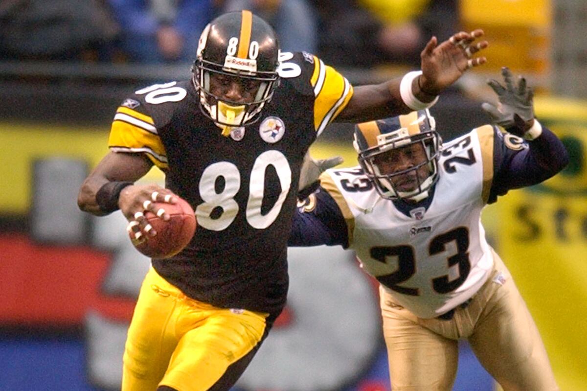 Breaking Down the Steelers' Signings of Burress and Hoyer News