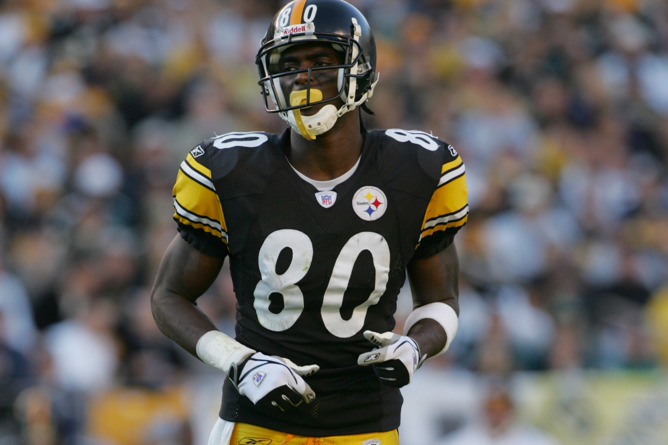Pittsburgh Steelers: Why Brian Hoyer and Plaxico Burress Can Be