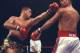 Former world champion Hector Camacho is in critical condition after suffering gunshot wounds to the face and neck in Puerto Rico.