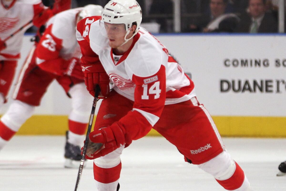 Detroit Red Wings 4 Griffins Who Will Soon Challenge for an NHL Roster