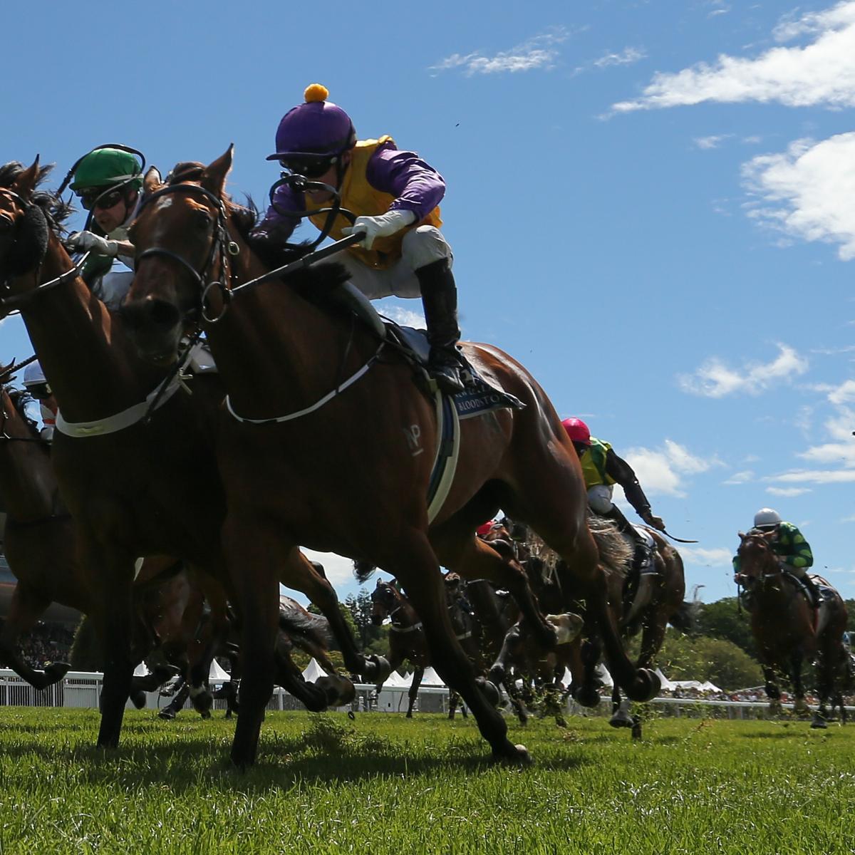 Aqueduct Picks Horse Racing Odds for Heineken Holidayfest News