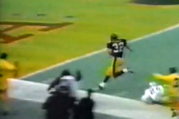 immaculate reception gif
