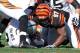 Nov 25, 2012; Cincinnati, OH, USA; Cincinnati Bengals defensive tackle Geno Atkins (97) sacks Oakland Raiders quarterback Carson Palmer (3) during the first quarter of the game at Paul Brown Stadium. Mandatory Credit: Rob Leifheit-US PRESSWIRE