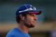 Josh Hamilton