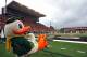 CORVALLIS, OR - NOVEMBER 24: Puddles the mascot watches the game against the Oregon Ducks of the Oregon State Beavers during the 116th Civil War on November 24, 2012 at the Reser Stadium in Corvallis, Oregon. (Photo by Jonathan Ferrey/Getty Images)