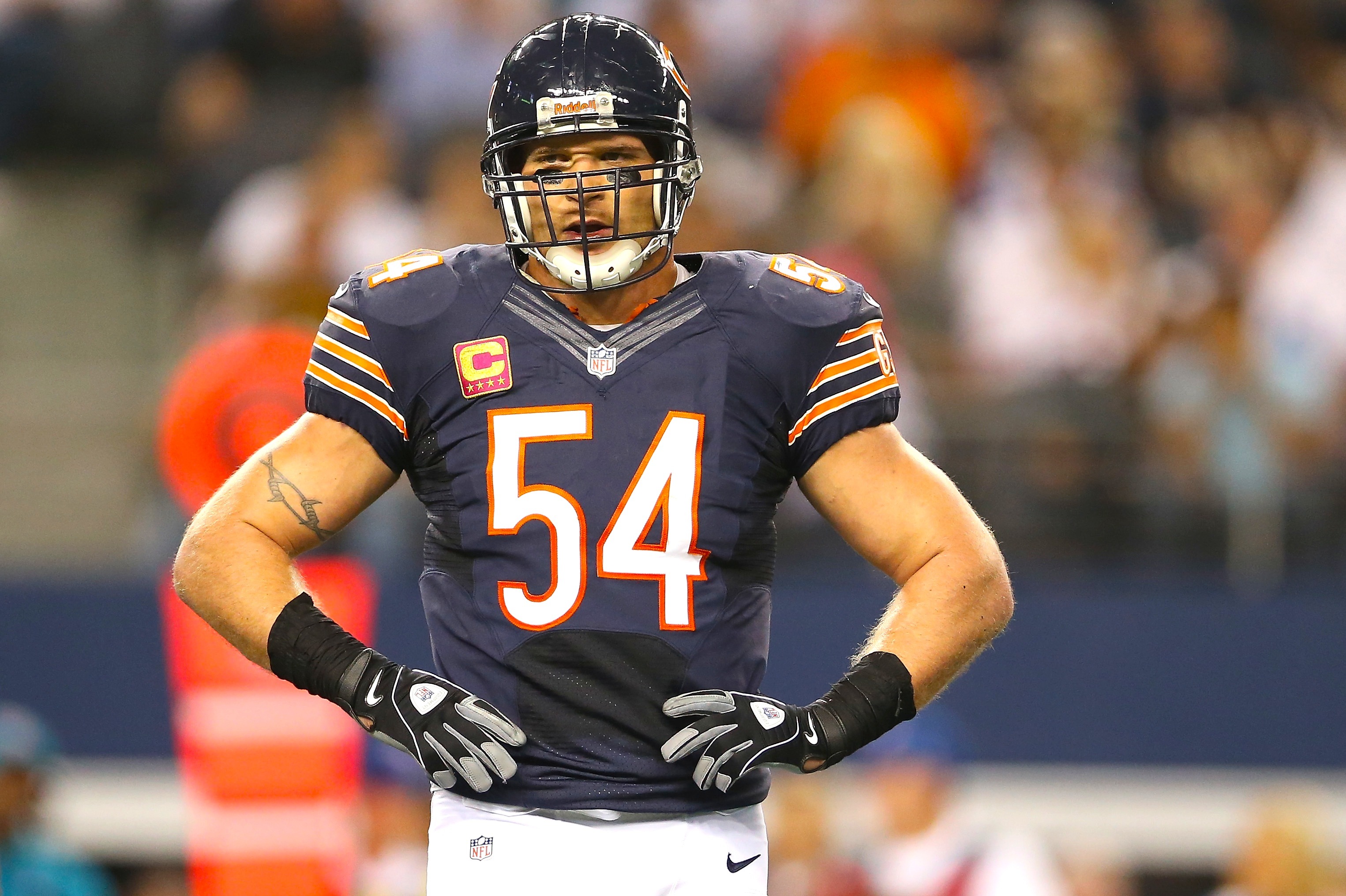 Bears lose Urlacher for 2009 – The Denver Post