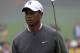 Tiger had a good year in 2012.