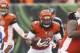 CINCINNATI, OH - DECEMBER 09: BenJarvus Green-Ellis #42 of the Cincinnati Bengals runs the ball upfield during the game against the Dallas Cowboys at Paul Brown Stadium on December 9, 2012 in Cincinnati, Ohio. The Cowboys defeated the Bengals 20-19. (Photo by John Grieshop/Getty Images)