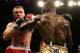 NEWARK, NJ - DECEMBER 11: Steve Cunningham and Tomasz Adamek exchange punches during their IBF Cruiserweight Championship fight on December 11, 2008 at The Prudential Center in Newark, New Jersey. Tomasz won a split decision. (Photo by Al Bello/Getty Images)