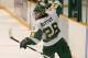 Photo obtained from ECAC Hockey site (http://www.ecachockey.com/women/members/clarkson/20112311_RattrayKnowYourKnights)