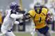 MORGANTOWN, WV - NOVEMBER 03: Tavon Austin #1 of the West Virginia Mountaineers carries the ball against the TCU Horned Frogs during the game on November 3, 2012 at Mountaineer Field in Morgantown, West Virginia. TCU defeated WVU in two overtimes 39-38. (Photo by Justin K. Aller/Getty Images)