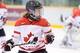 Image from Hockey Canada, obtained from http://www.selectshockey.com/index-home.php?page_nanme=girls-alumni&page_key=6665918d017e6d264113aa9e7703520685c211587113&page_id=745&parent_id=137
