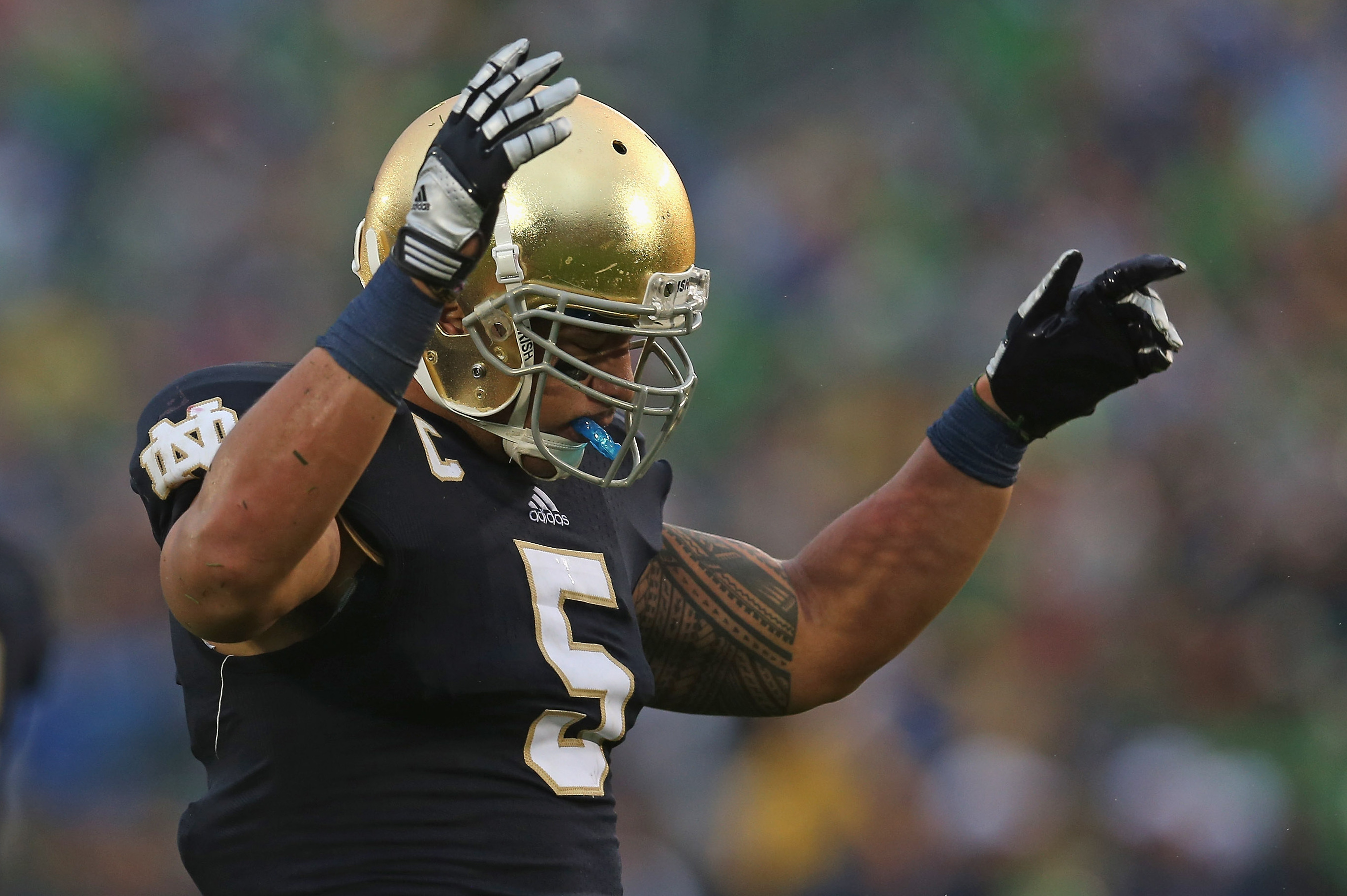 Manti Te'o Scouting Report: NFL Outlook for Notre Dame ILB, News, Scores,  Highlights, Stats, and Rumors