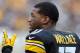 PITTSBURGH, PA - DECEMBER 09: Mike Wallace #17 of the Pittsburgh Steelers looks on during the game against the San Diego Chargers on December 9, 2012 at Heinz Field in Pittsburgh, Pennsylvania. (Photo by Joe Sargent/Getty Images)