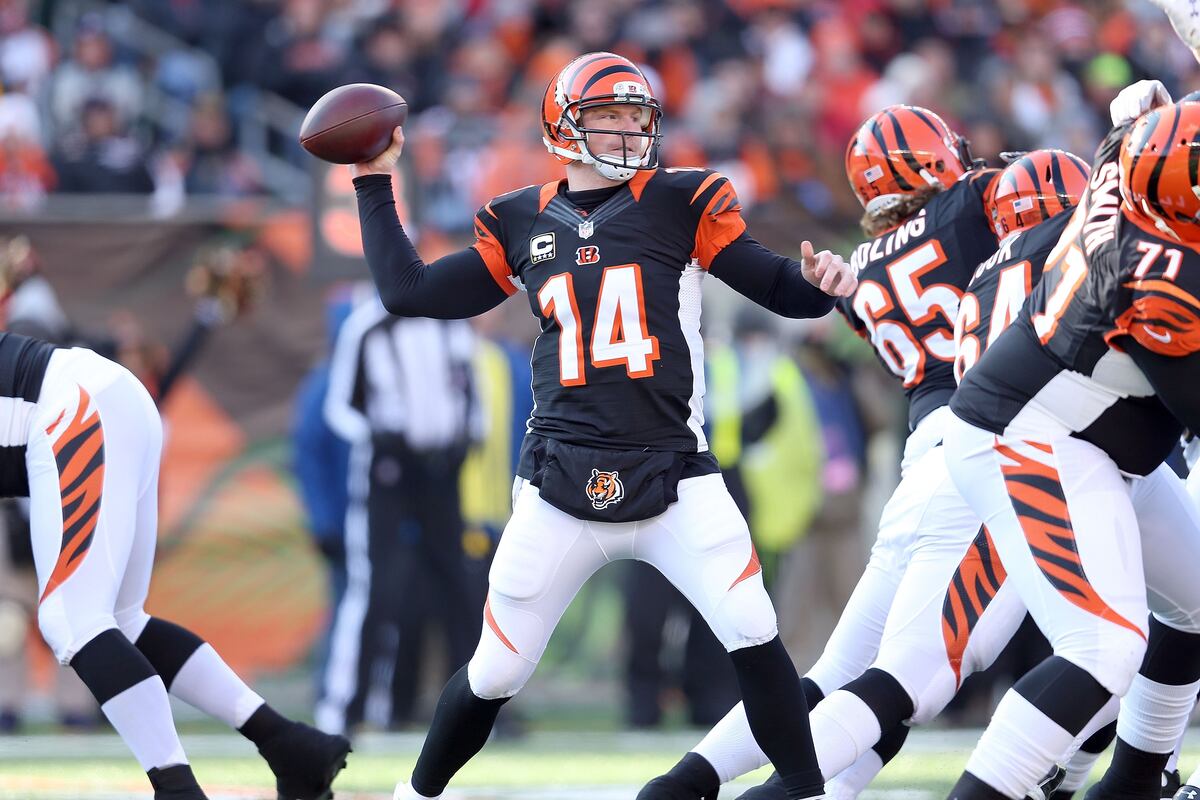 Cincinnati Bengals End of the Year Report Card News, Scores